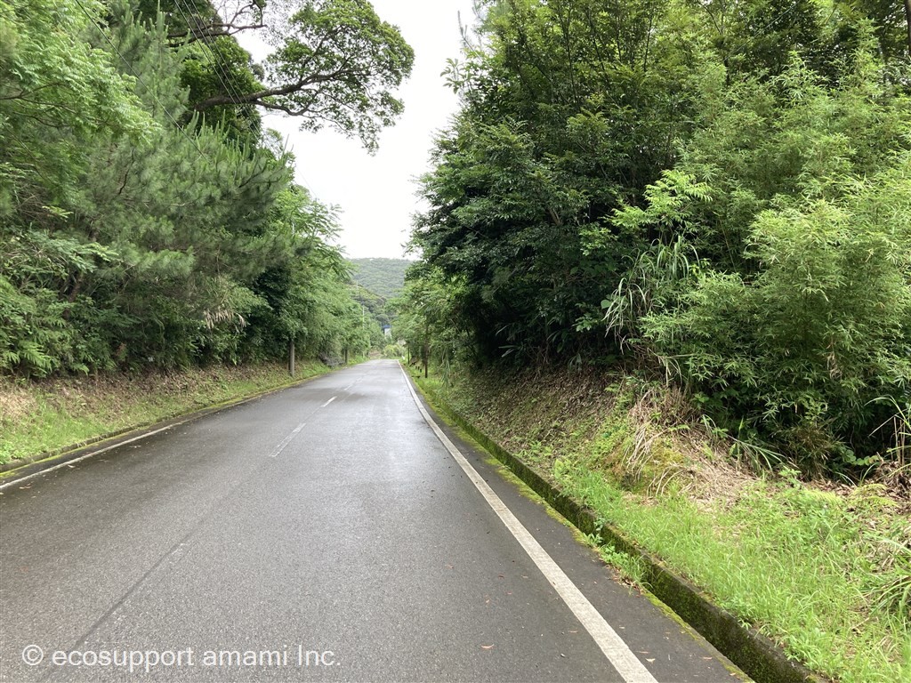 接道前面道路