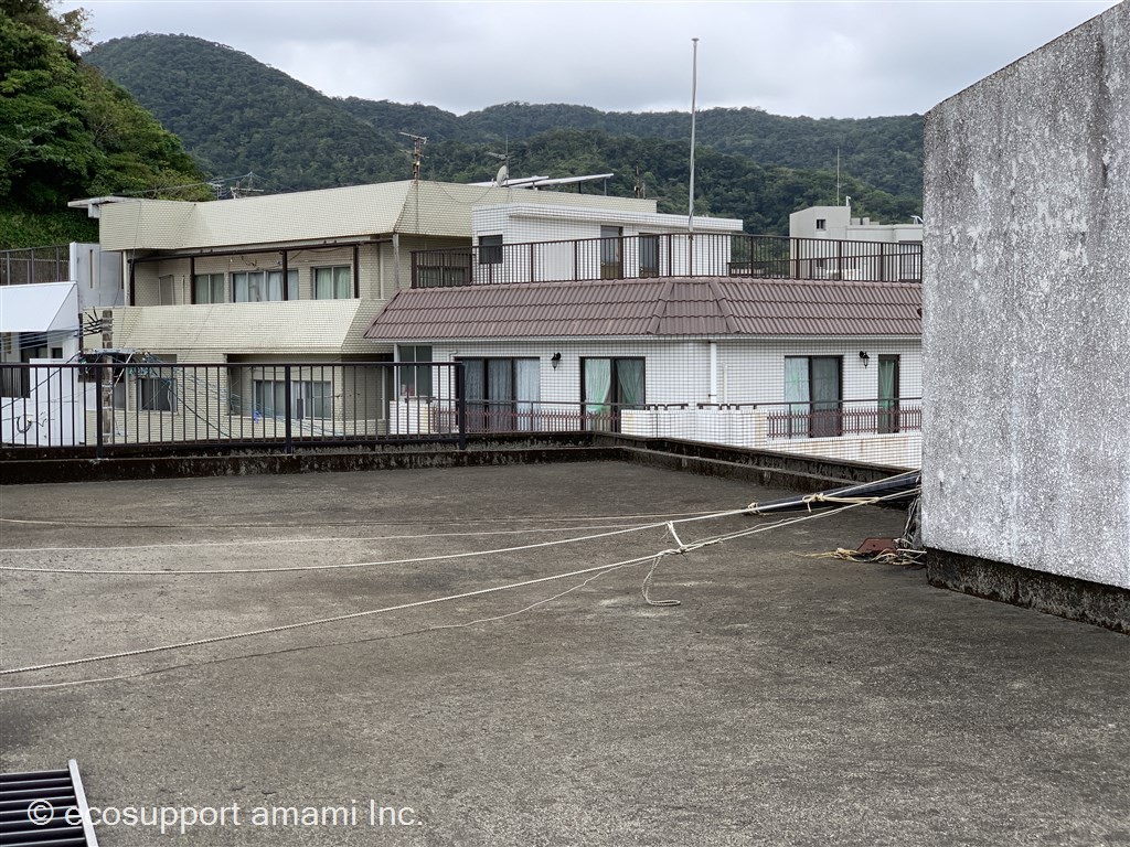 屋上