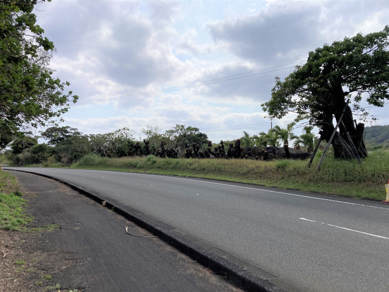 接道道路-道路向かいの土地になります。