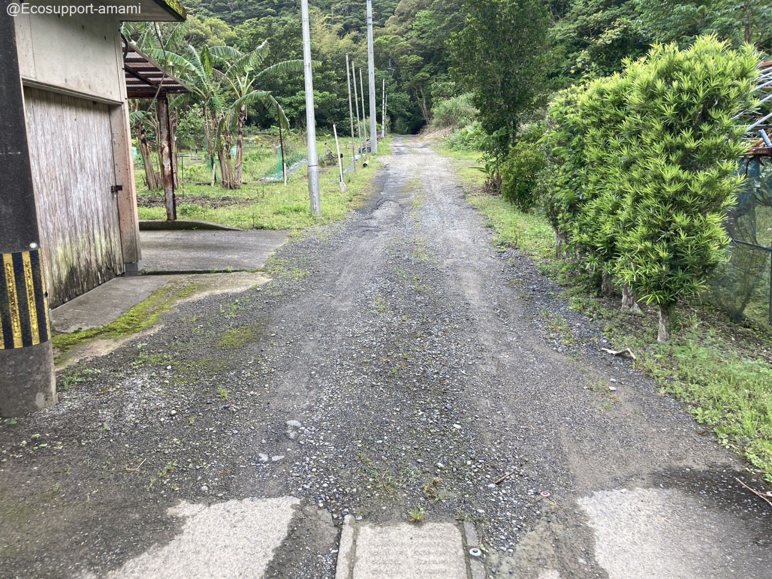 敷地入口道路