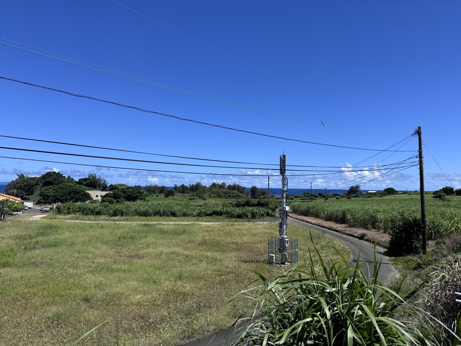 敷地から望める風景