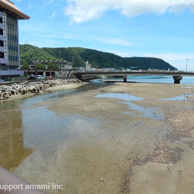 リバーサイドで名瀬湾も目の前に！