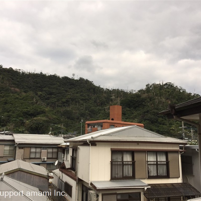 ベランダより