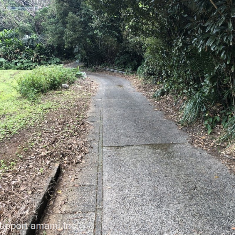 前面道路-西から東向き