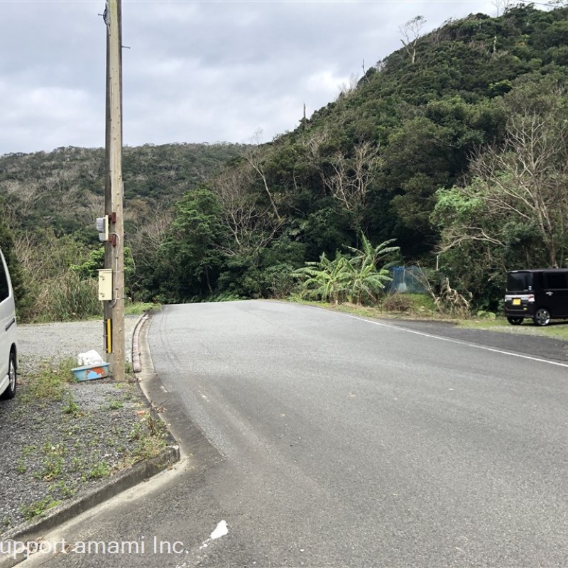 東側トンネル・里集落へ抜ける道路