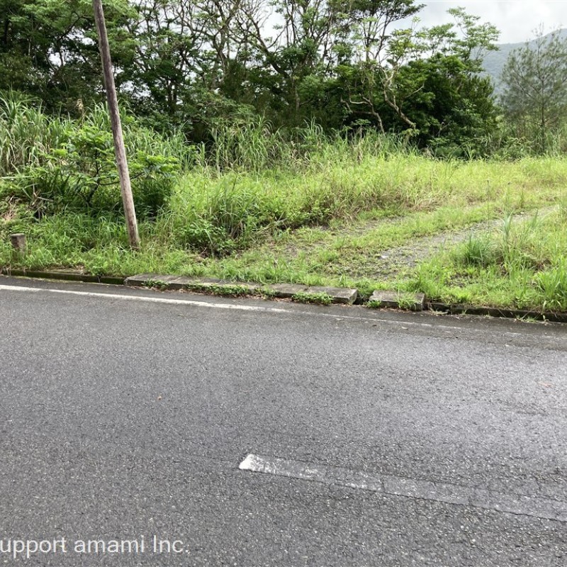 道路入口