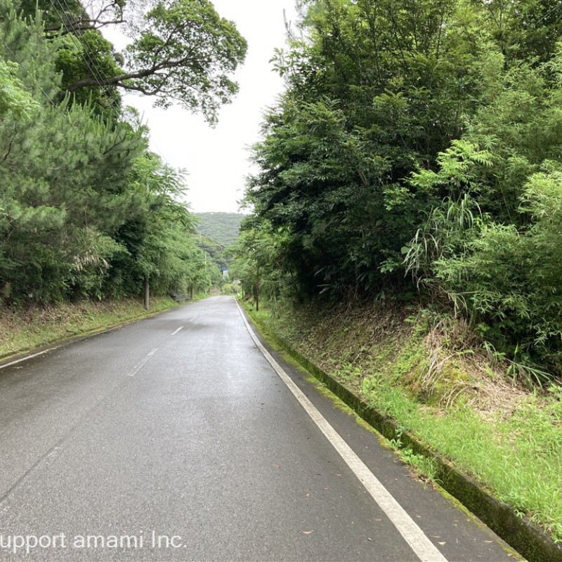 接道前面道路