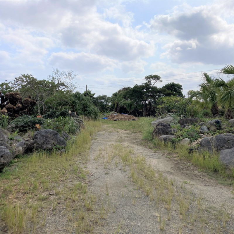 敷地内-石・植樹は成約時撤去します。