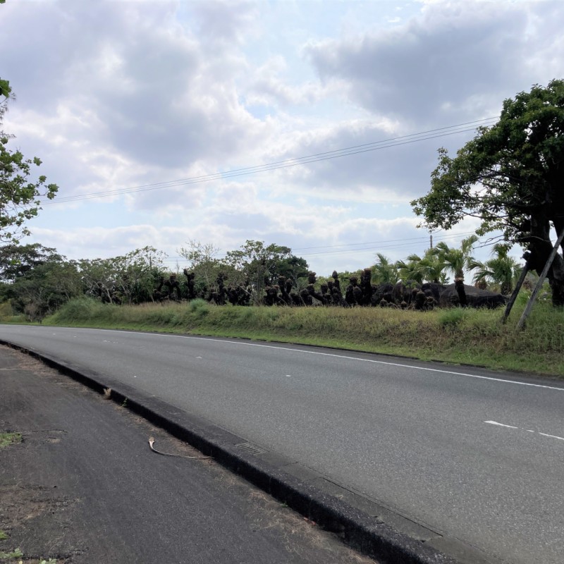 接道道路-道路向かいの土地になります。