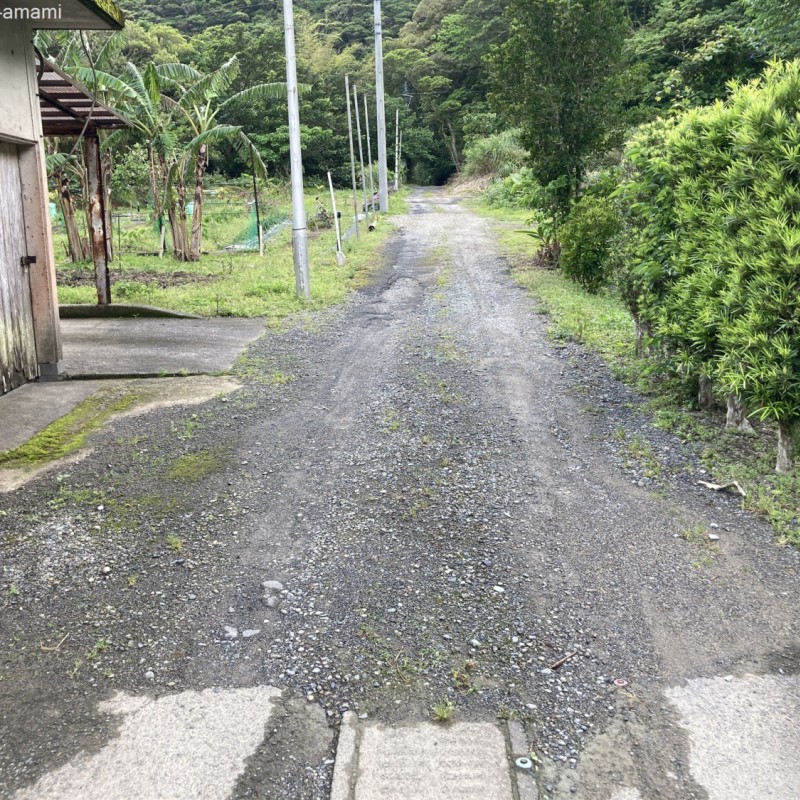 敷地入口道路