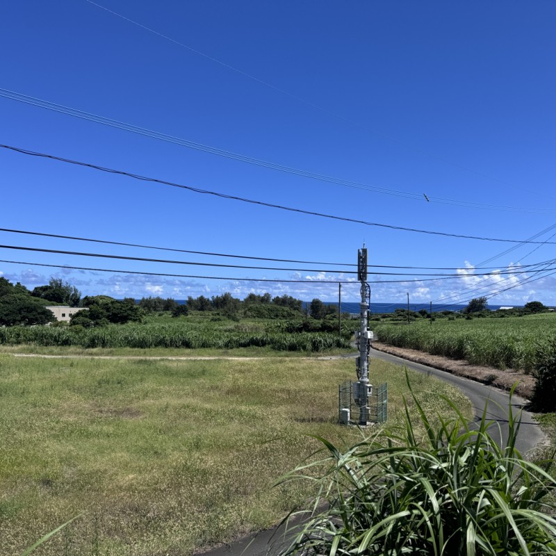 敷地から望める風景