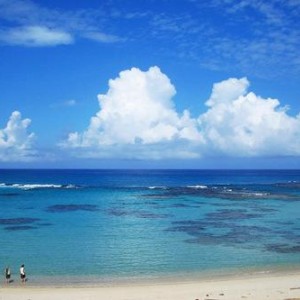 土盛海岸