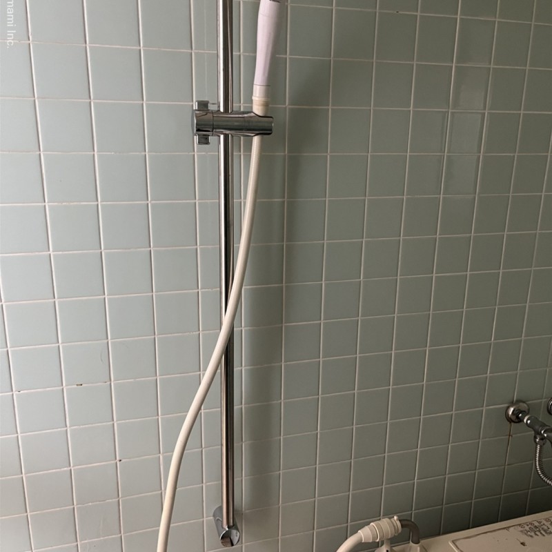 シャワー（高さ調節レールバー有り）