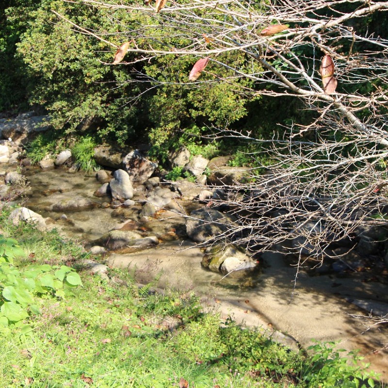 お家の前には川が流れ、安らぎを与えてくれます。