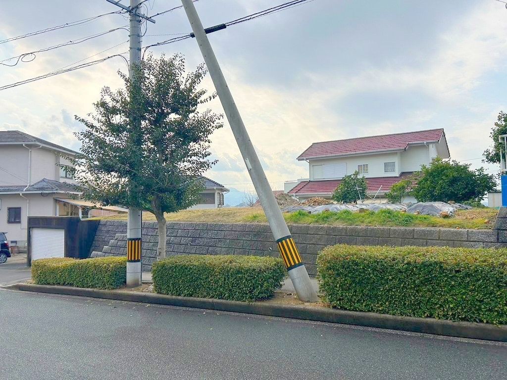 現地写真