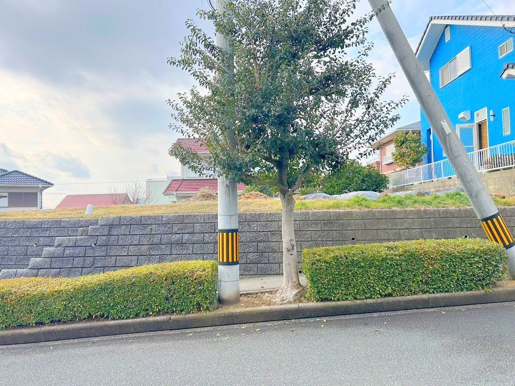 現地写真