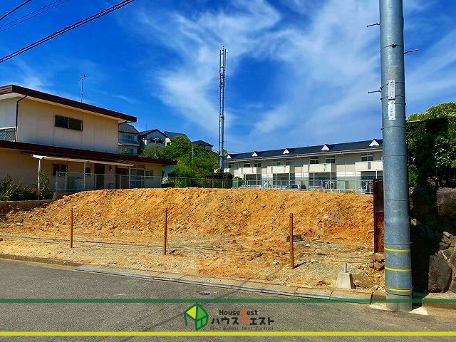 現地写真