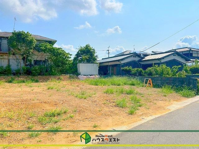 現地写真