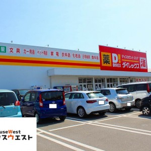 ダイレックス東福間店