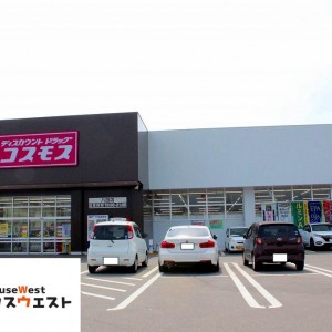 ディスカウントドラッグコスモス八田店