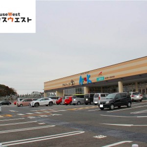 アルク 八幡西店