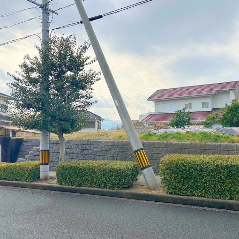 現地写真
