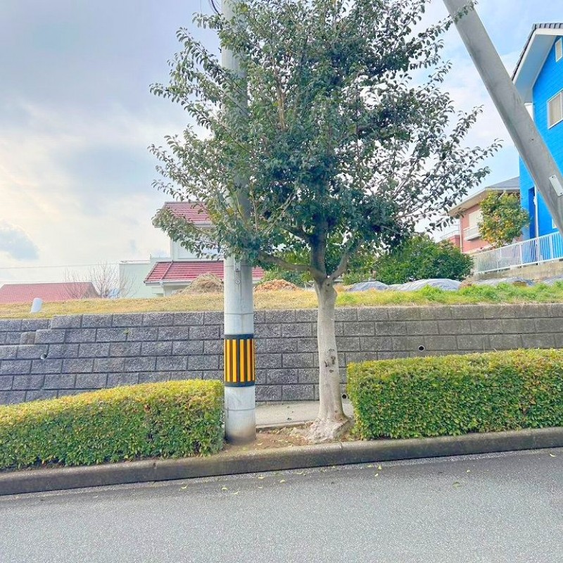 現地写真