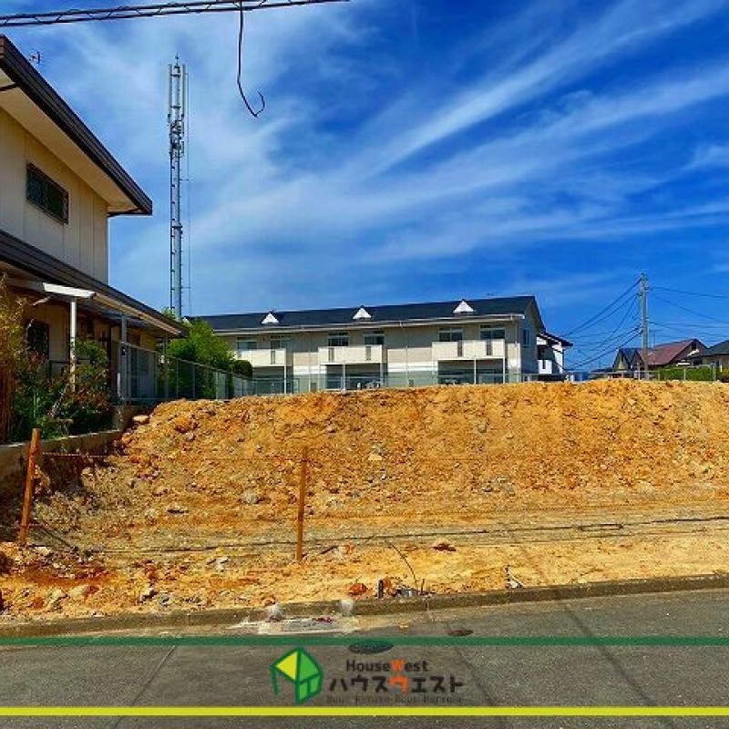 現地写真