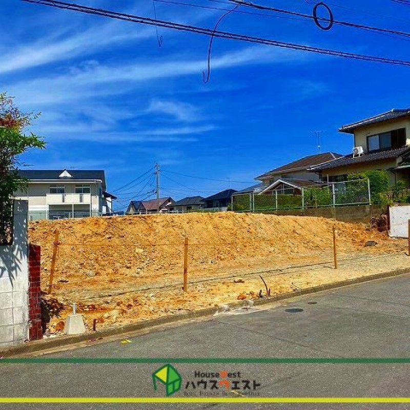 現地写真