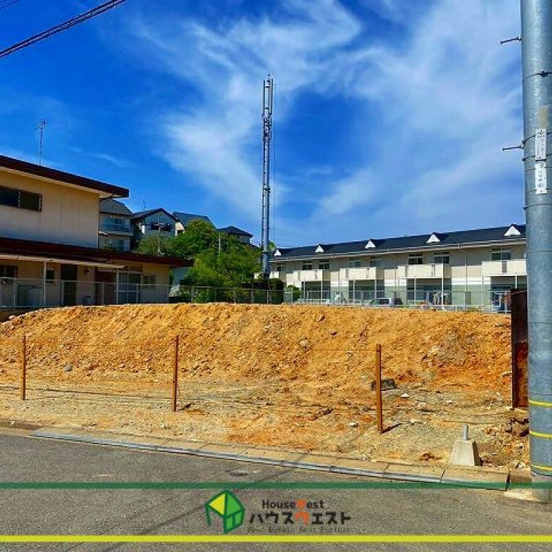 現地写真