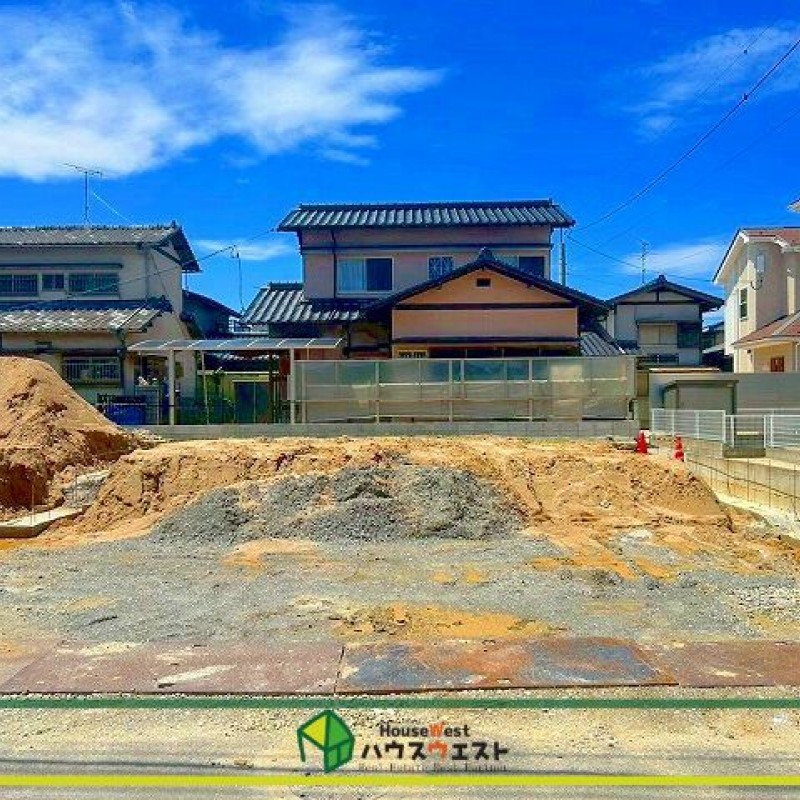 現地写真