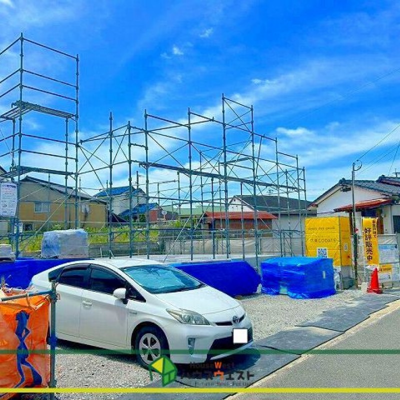 現地写真