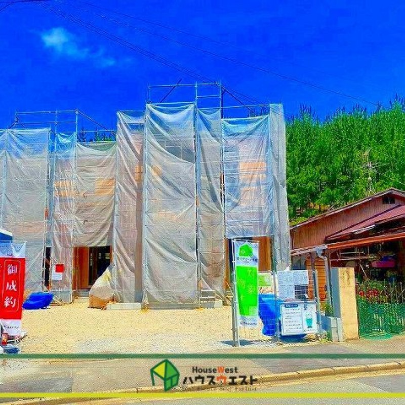 現地写真
