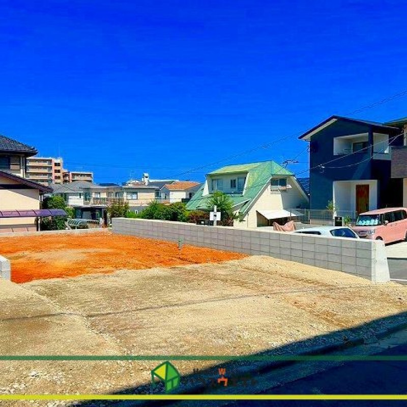 現地写真