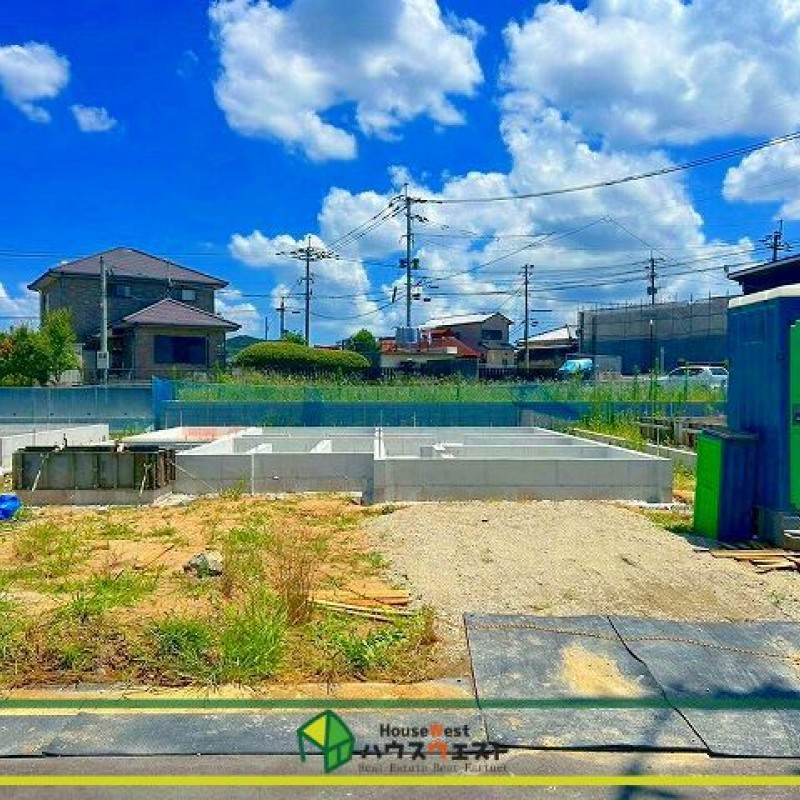 現地写真
