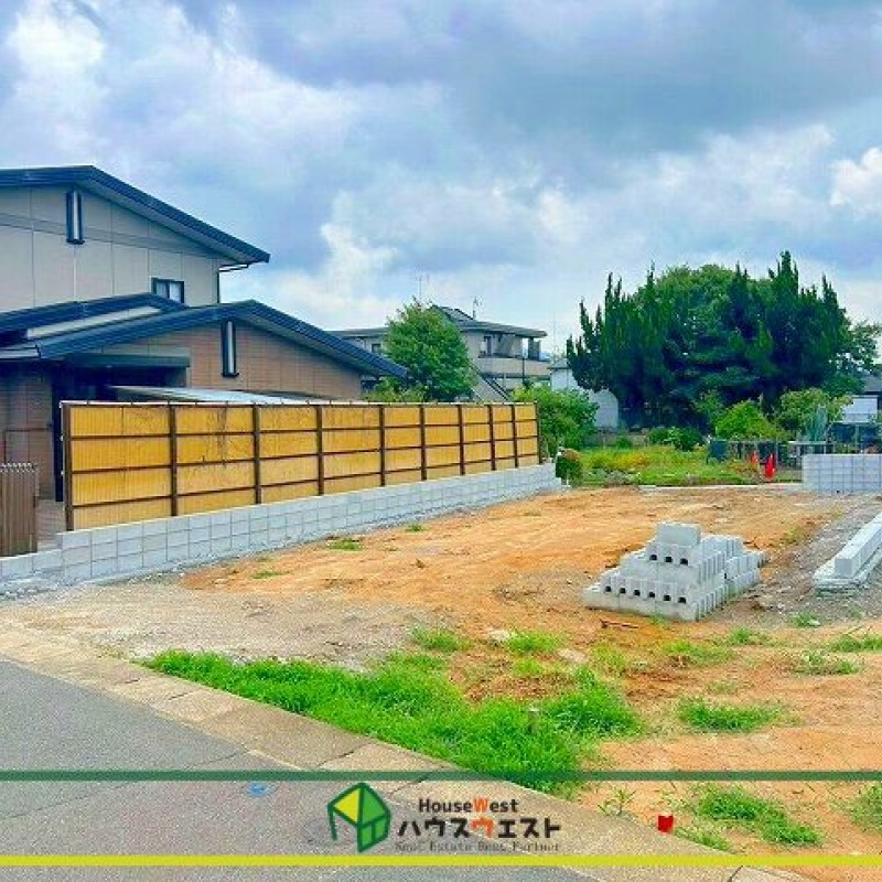 現地写真