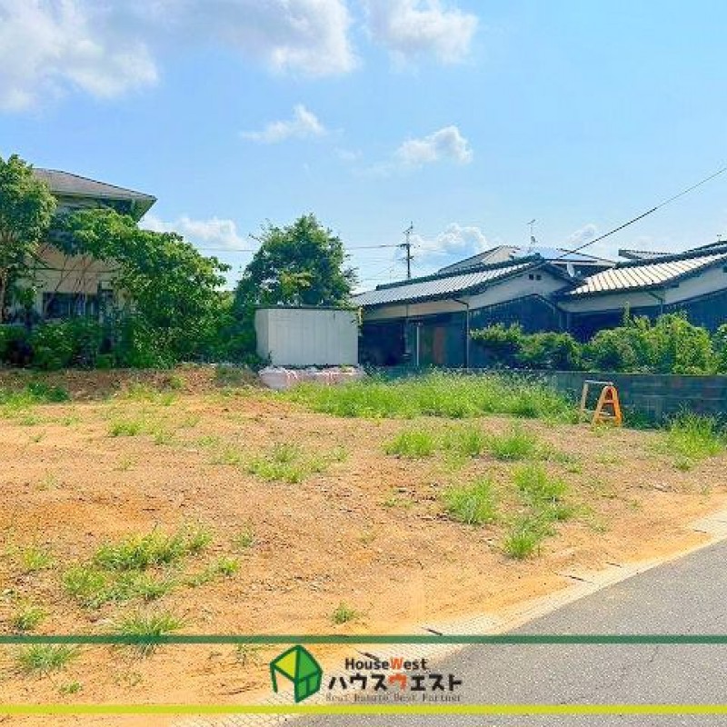現地写真