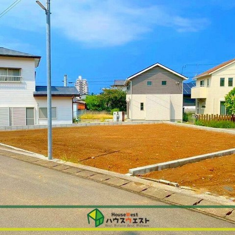 現地写真