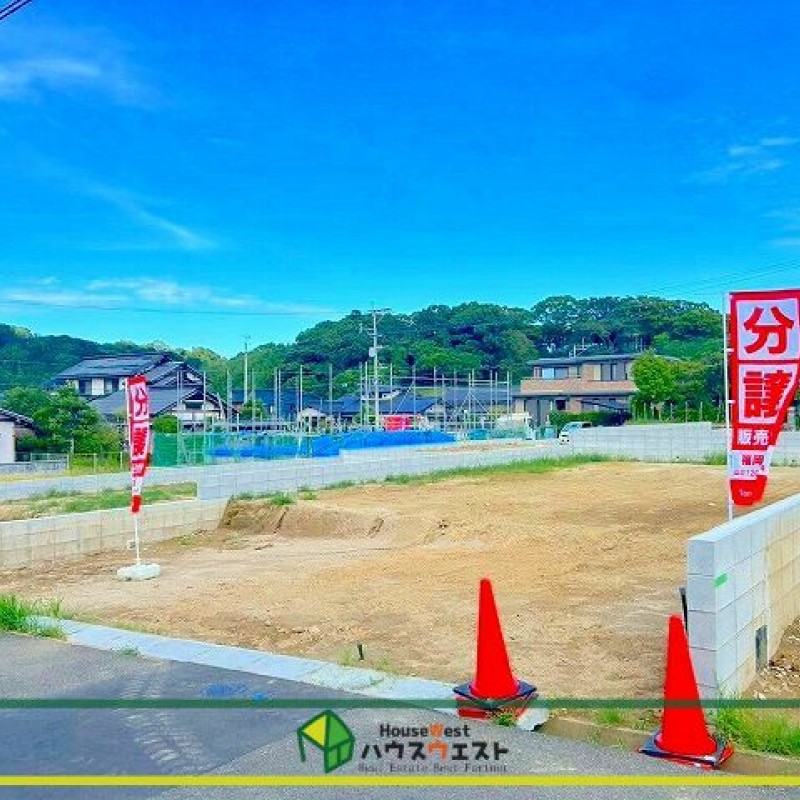 現地写真