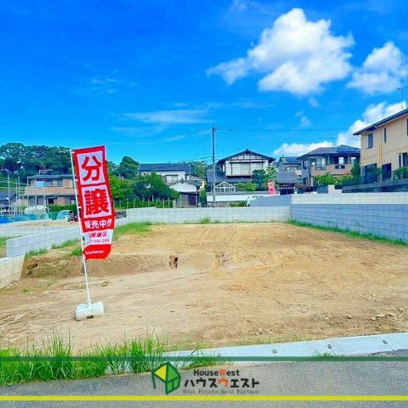 現地写真