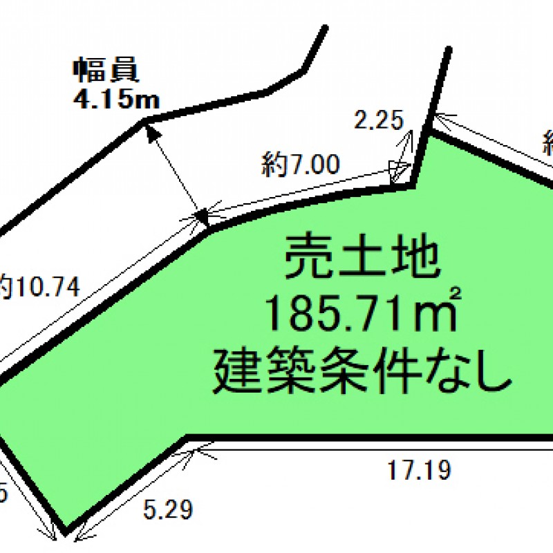 土地図