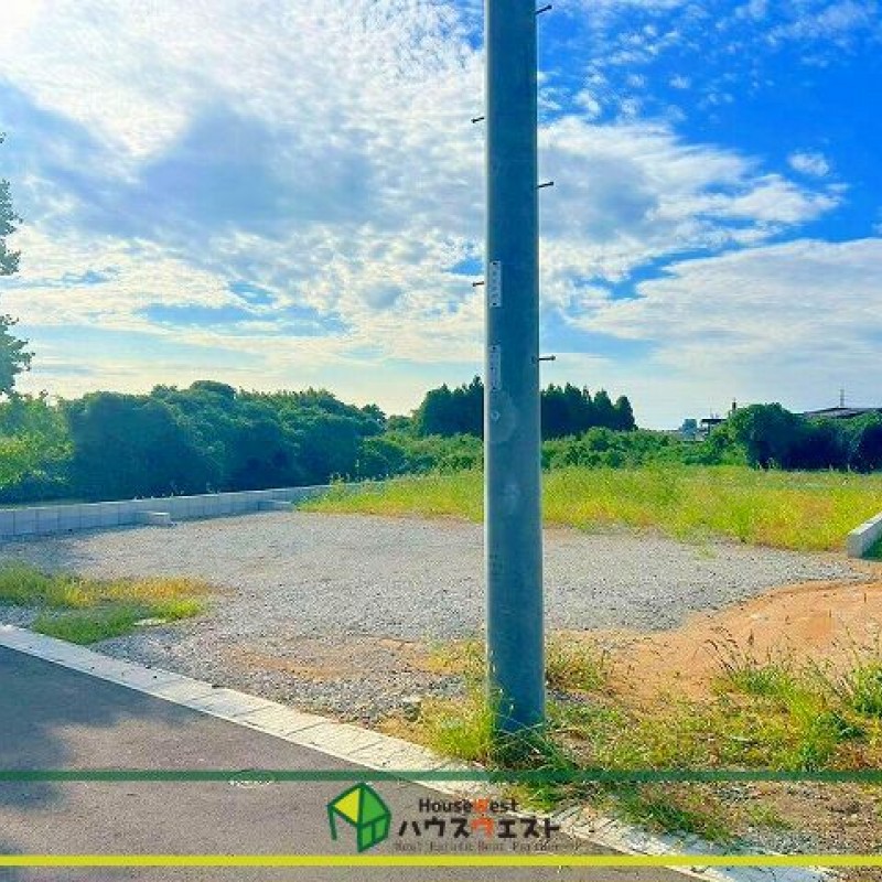 現地写真