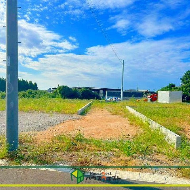 現地写真