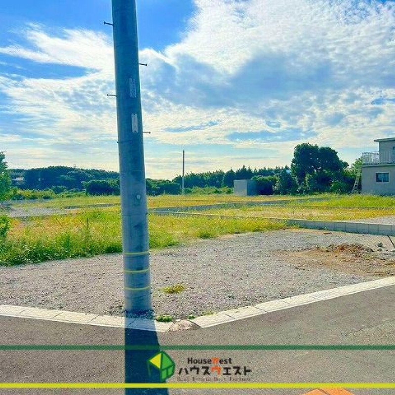 現地写真