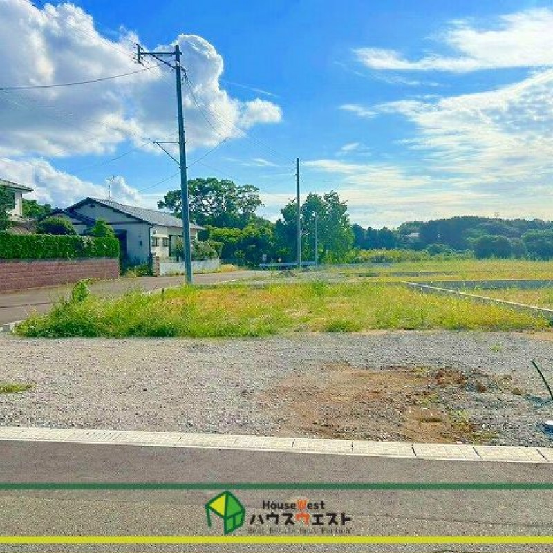 現地写真