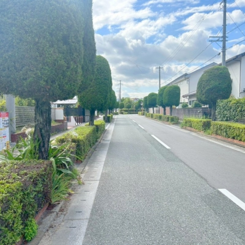前面道路