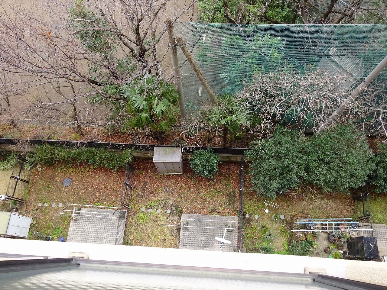 1階の庭先