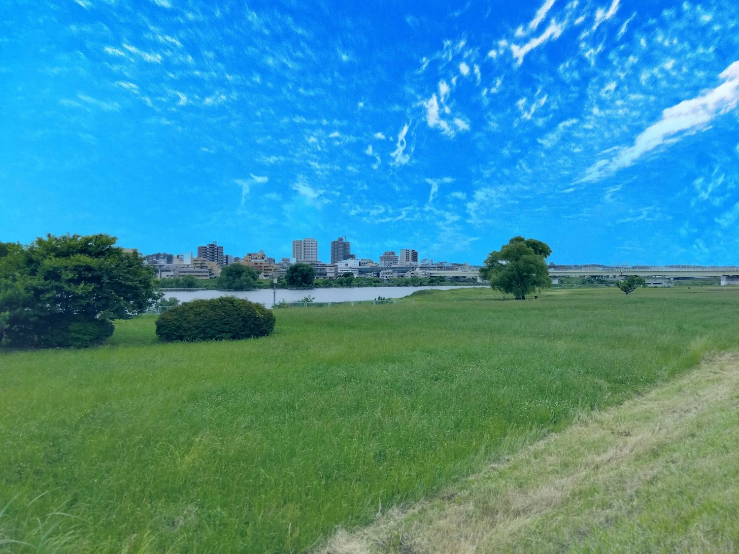 多摩川自由ひろばまで190m