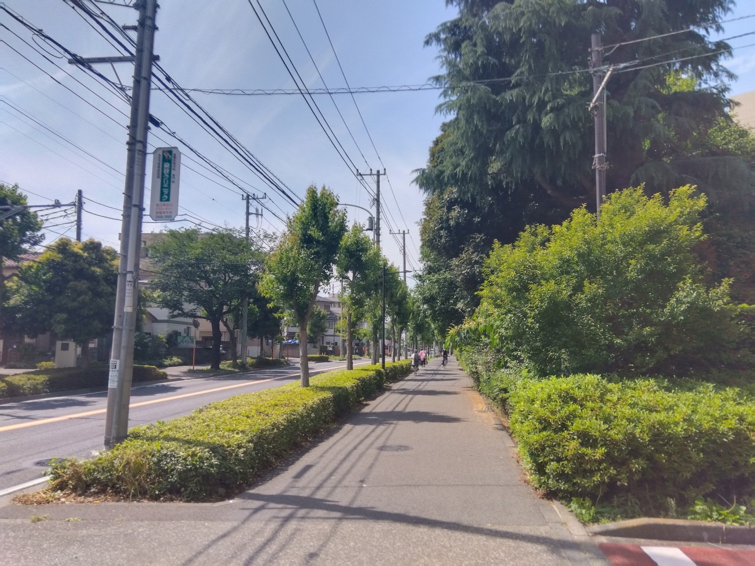 前面道路