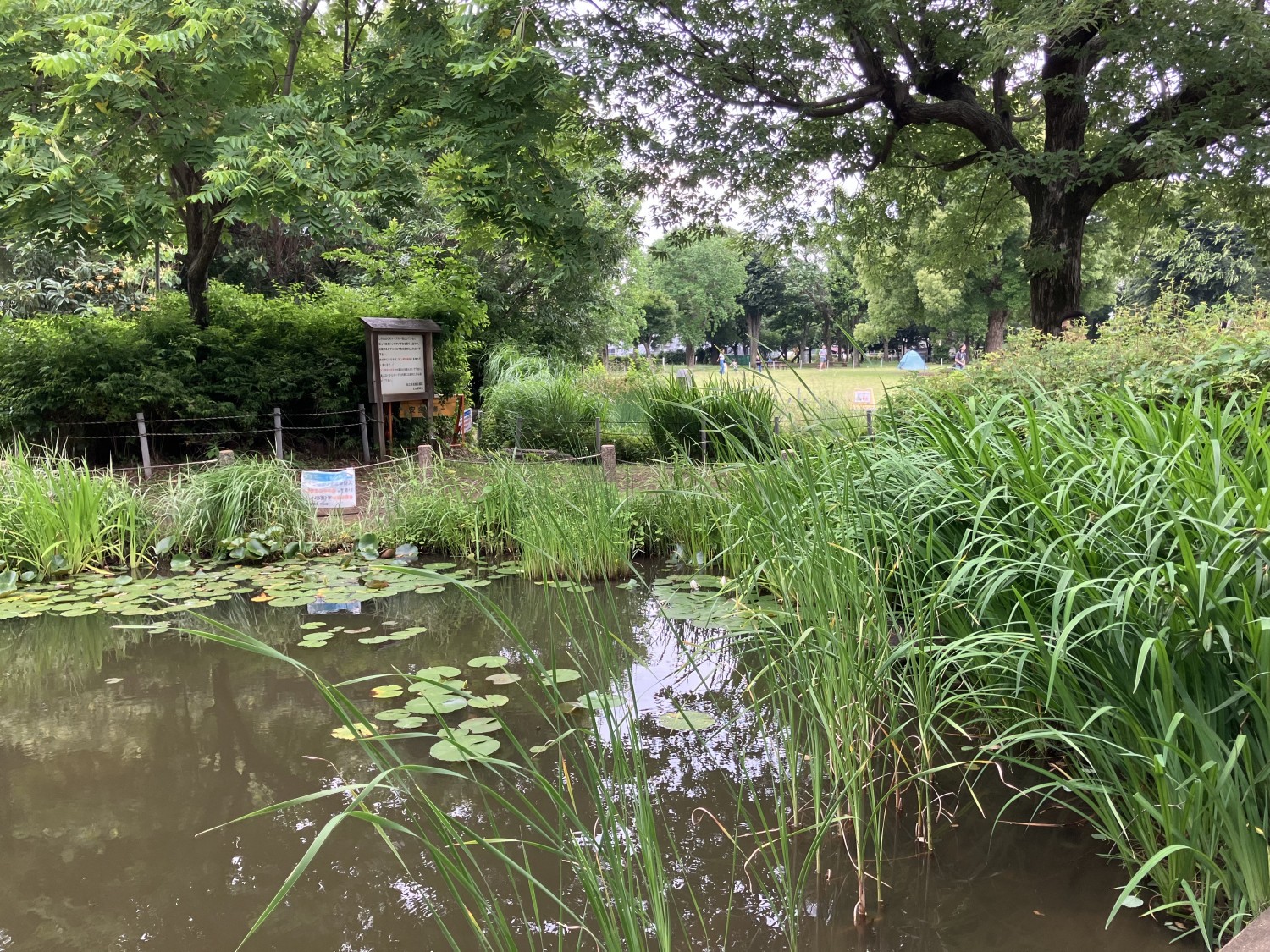 前原公園　500ｍ
